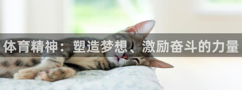 谈球吧：体育精神：塑造梦想、激励奋斗的力量