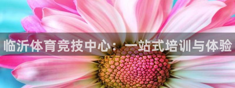 谈球吧：临沂体育竞技中心：一站式培训与体验