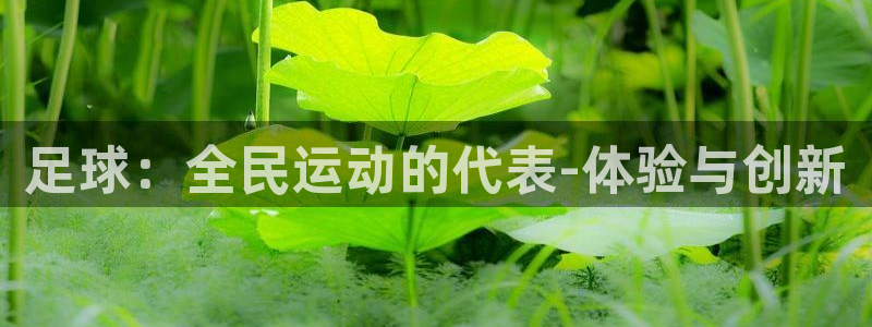 谈球吧体育官网：足球：全民运动的代表-体验与创新