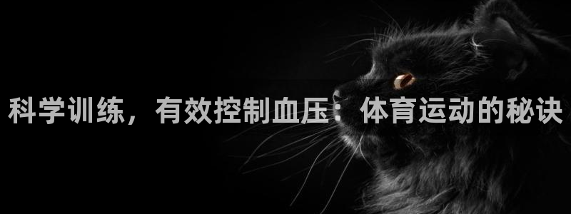 谈球吧：科学训练，有效控制血压：体育运动的秘诀