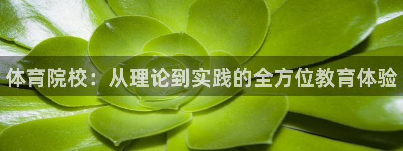 谈球吧体育官网：体育院校：从理论到实践的全方位教育体验