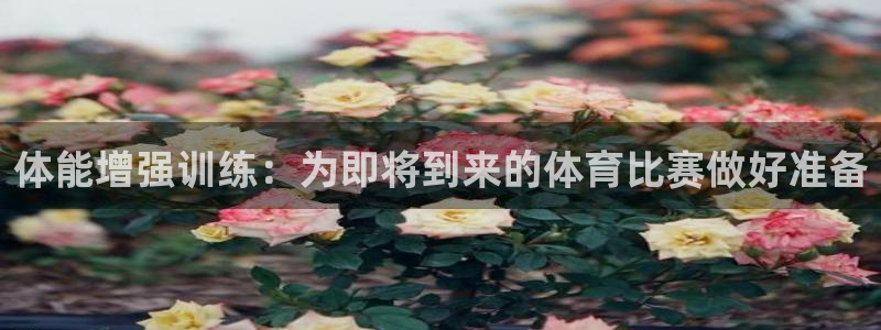 谈球吧体育官网：体能增强训练：为即将到来的体育比赛做好准备