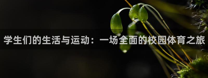 谈球吧体育官网：学生们的生活与运动：一场全面的校园体育之旅