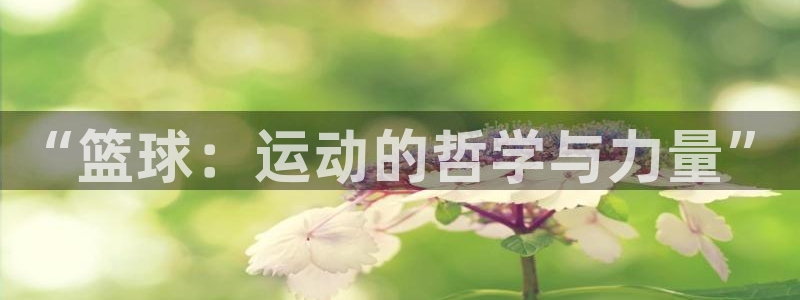 谈球吧：“篮球：运动的哲学与力量”