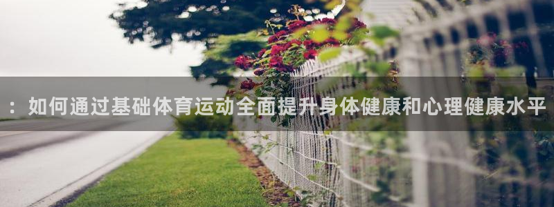 谈球吧：：如何通过基础体育运动全面提升身体健康和心理健康水平