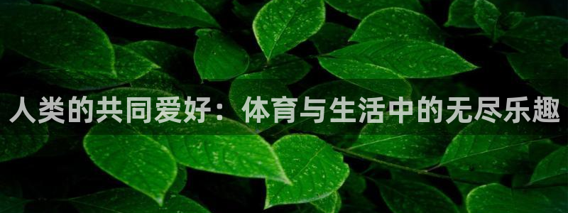 谈球吧：人类的共同爱好：体育与生活中的无尽乐趣